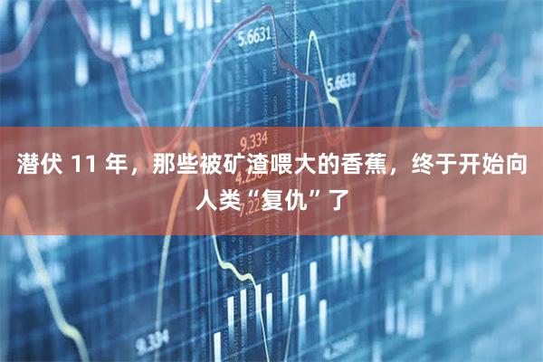 潜伏 11 年，那些被矿渣喂大的香蕉，终于开始向人类“复仇”了