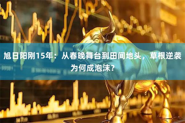 旭日阳刚15年：从春晚舞台到田间地头，草根逆袭为何成泡沫？