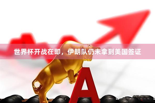 世界杯开战在即，伊朗队仍未拿到美国签证